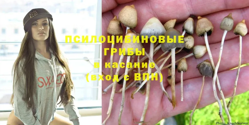 Галлюциногенные грибы MAGIC MUSHROOMS  ОМГ ОМГ маркетплейс  Людиново  купить наркотики сайты 